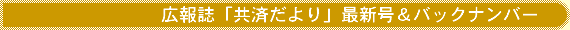 L񎏁uςvŐVobNio[