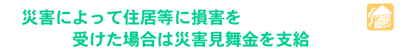 ЊQɂďZɑQ󂯂ꍇ͍ЊQx